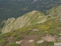 2020-07-05 Monte Gorzano e Laghetta 344
